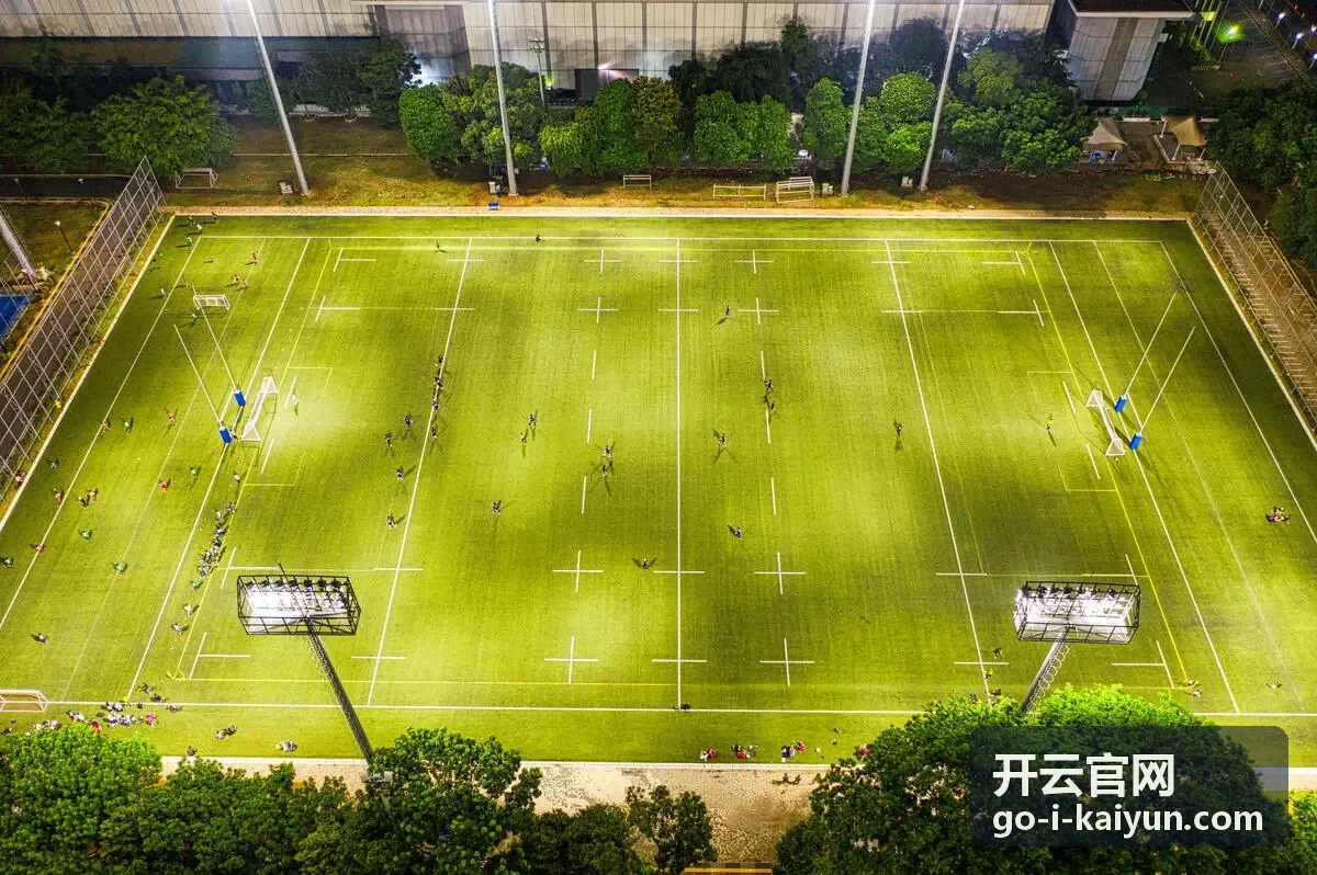 开云官网入口索引分类图片