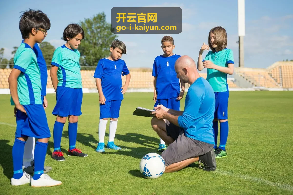 开云官网服务说明分类图片
